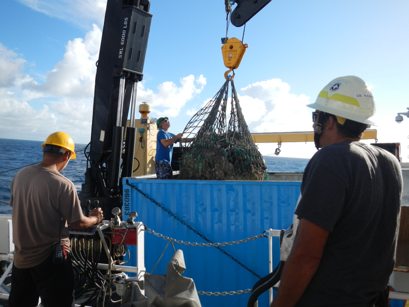 Illustration for article titled Divers Remove 57 Tons Of Junk From Hawaii's Northwestern Islands